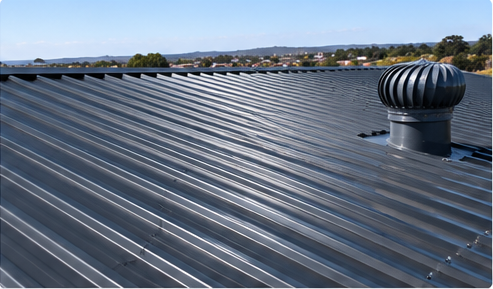 Metal Roof Protection